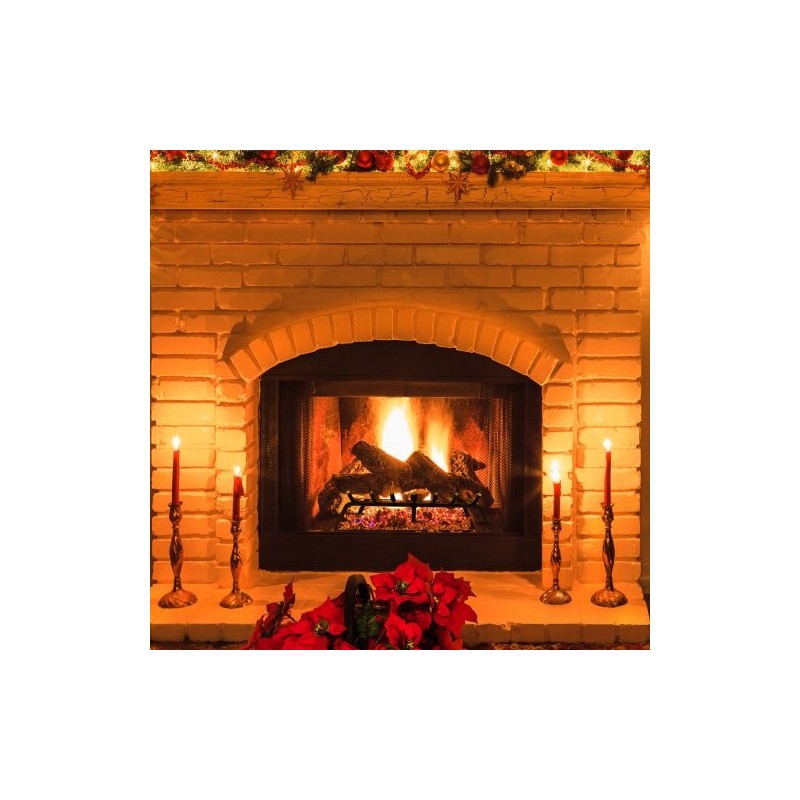 Takkaritilä 30-tuumainen jauhemaalatut 19 mm terästangot 6 jalkaa