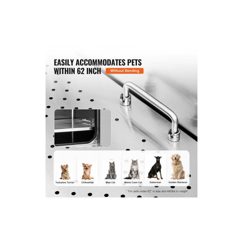 Lemmikkien kylpyallas ruostumattomasta teräksestä rampilla saippualokerolla hanalla ja lisävarusteilla