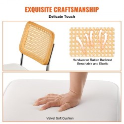 Rottinkiselkänojaiset samettiset tuolit metallirungolla neljä kappaletta pehmeällä istuintyynyllä