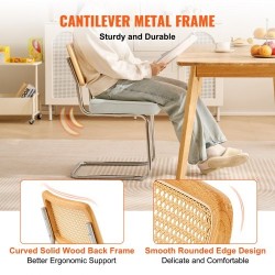 Rottinkinojatuolit 2 kpl pehmustettu samettinen istuin rottinkiselkänoja taivutettu metallirunko