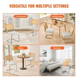 Rottinkinojatuolit 2 kpl pehmustettu samettinen istuin rottinkiselkänoja taivutettu metallirunko