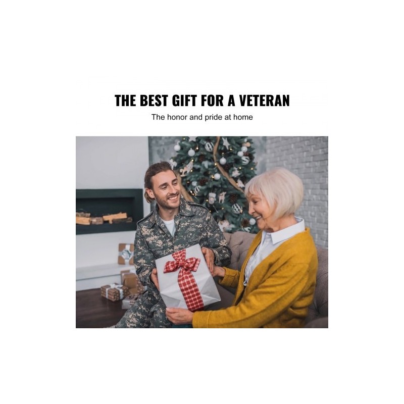 Lippusalkosarja alumiiniseoksinen 6,09 metriä teleskooppinen maahan asennettava hopea kierrettävä lukitus