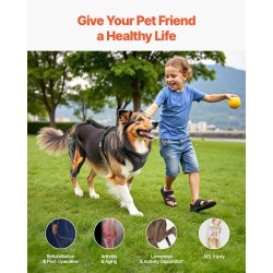 Koiran neopreeninen polvituki keskikoko oikealle takajalalle säädettävällä saranalla heijastavilla reunoilla