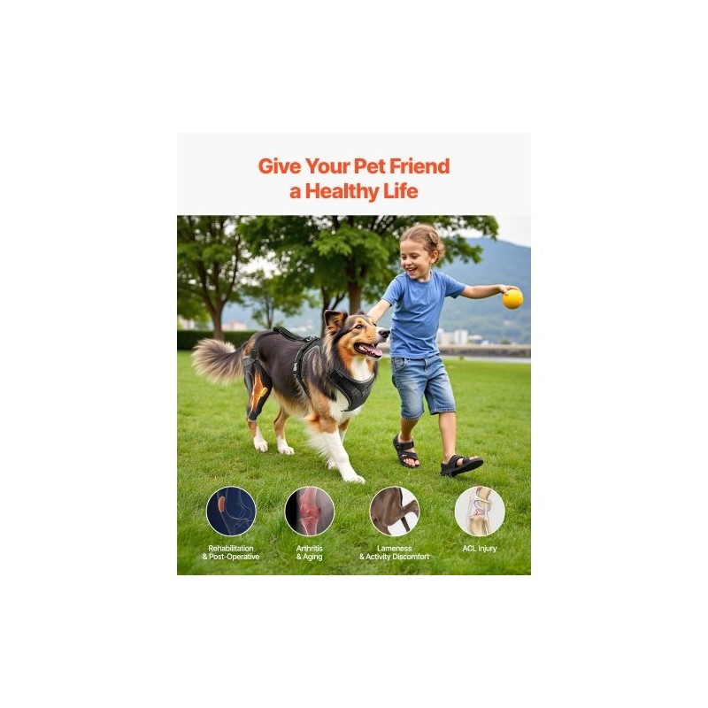 Koiran neopreeninen polvituki keskikoko oikealle takajalalle säädettävällä saranalla heijastavilla reunoilla