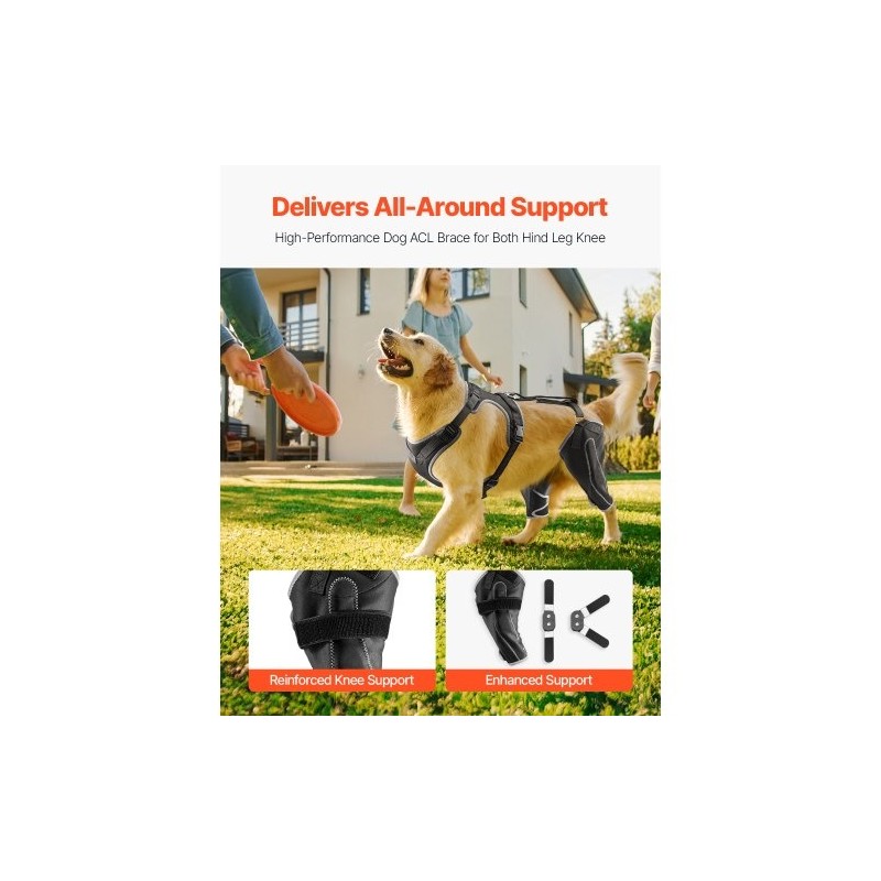 Koiran neopreeninen polvituki XL takapolvinivelle säädettävällä saranalla vasemmalle ja oikealle takajalalle
