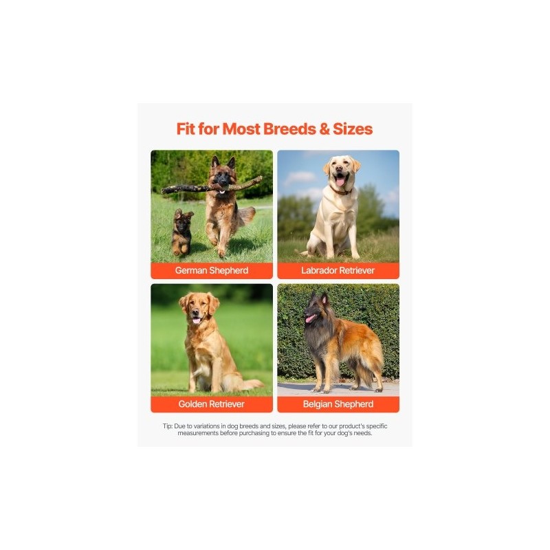 Koiran polvituki neopreeni XL vasemmalle takajalalle saranoitu stabilisaattori heijastavilla reunuksilla