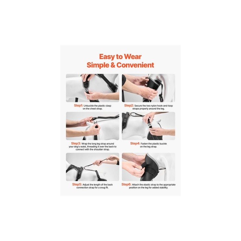 Koiran polvituki neopreeni XL vasemmalle takajalalle saranoitu stabilisaattori heijastavilla reunuksilla