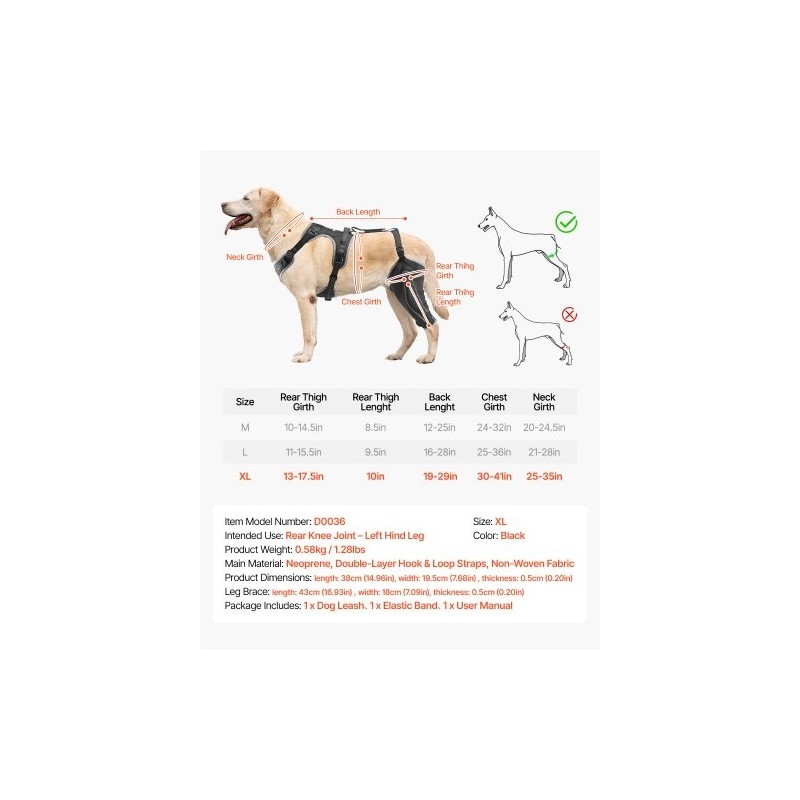 Koiran polvituki neopreeni XL vasemmalle takajalalle saranoitu stabilisaattori heijastavilla reunuksilla