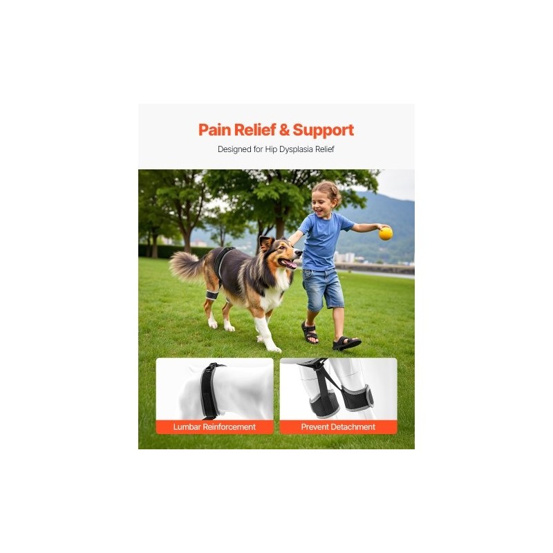 Koiran lonkkatukiliivi hengittävä verkkokangas ja neopreeni XL lonkan ja lantion tukeen