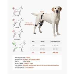 Koiran lonkkatukiliivi hengittävä verkkokangas ja neopreeni XL lonkan ja lantion tukeen