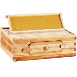 Mehiläispesän keskikokoinen Langstroth laatikko 19 mm setripuuta 10 kehystä mehiläisvahakäsitelty akryyli ikkunat