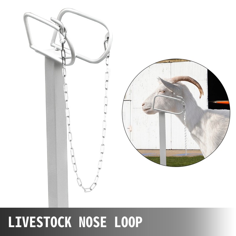 Eläinjalusta pulverimaalattu rautarunko 51x23 tuumaa säädettävä korkeus kuonolenkillä vuohille ja lampaille