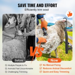 Metallinen säädettävä vuohien ja lampaiden hoitoteline korkeus 238–325 mm kuonolenkillä