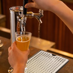 Tippa-allas 304-ruostumatonta terästä 300x180x25 mm 4 kumityynyä irrotettava kansi