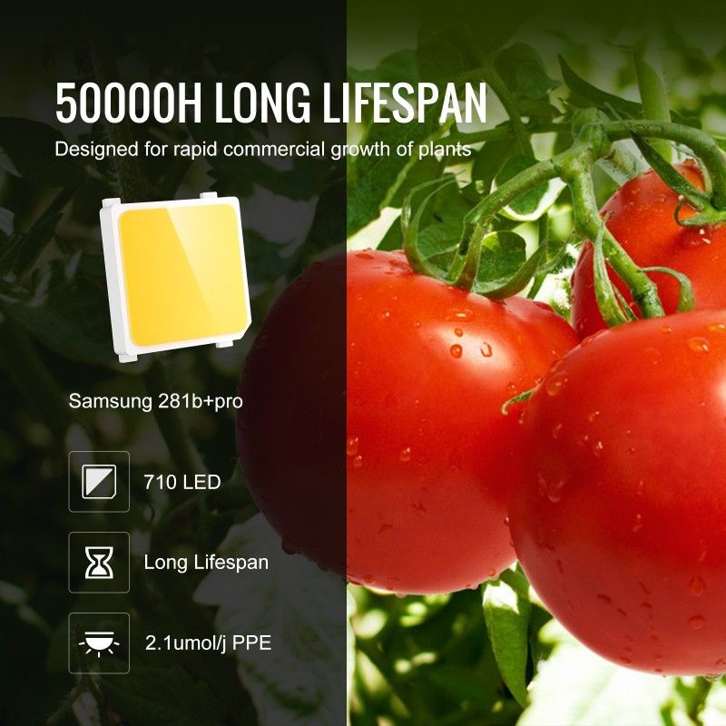 LED-kasvivalaisin 300W täyden spektrin himmennettävä Samsung 281B 3x3/4x4 kasvitelttaan