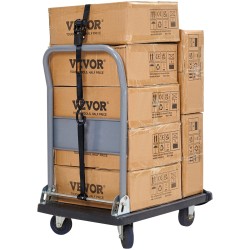 Räikkäkuormaliinat polyesteri 25 mm 4 6 m 4 kappaletta murtolujuus 998 kg