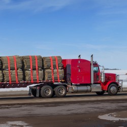 Vinssihihnat polyesteri 10 kpl 9,1 m 2,7 t työkuorma litteä koukku