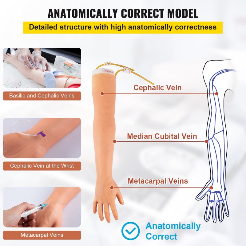 Harjoittelukäsi kanylointiin ja verinäytteenottoon lateksiverisuonet vaihdettavat osat säädettävä teline kuljetuslaukku