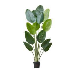 Tekokasvi paratiisilintu 1829 mm korkea 13 runkoa muovilehdet valkoinen ruukku