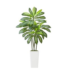 Tekodracaena 1524 mm korkea PE-lehdillä valkoinen ruukku 1 kpl sisäkäyttöön