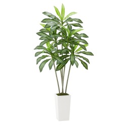 Tekodracaena 1829 mm valkoinen korkea ruukku PE muovilehdet sisä ja ulkokäyttöön