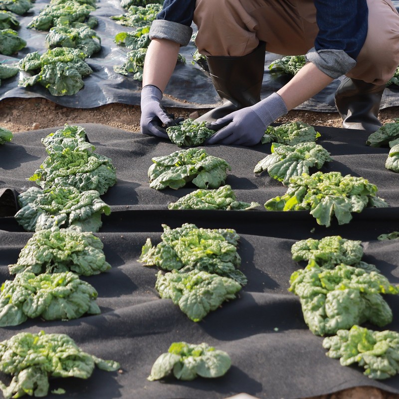 Nonwoven-geotekstiili 3,0 x 30,5 m 271 g/m² musta rikkaruohosuoja