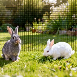 Hitsattu sinkitty rautalankaverkko PVC-vinyylipinnoitteella 183 cm ja 30,4 m 0,5 tuuman silmäkoko