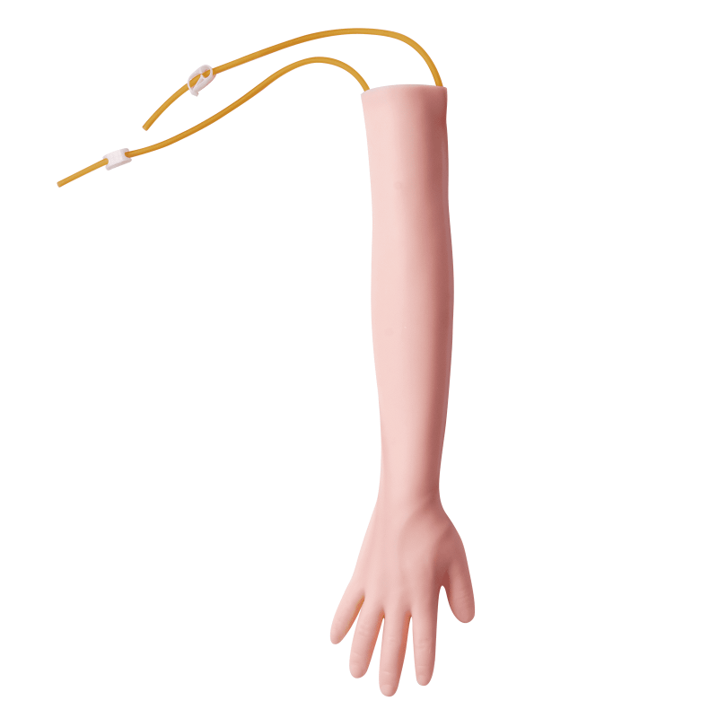 Verinäytteenoton harjoituskäsivarsi muovia ja lateksia sisältää IV-letkun ja perhosneulat