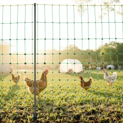 Sähköverkkoaita PE ja ruostumaton teräs 1,21 m x 30,48 m lasikuitutolpat pieneläimille