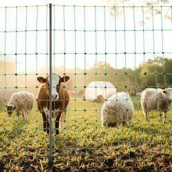 Sähköinen polyeteeniverkko 0,88 x 49,98 m lasikuitutolpilla ja kaksoispiikityillä teräspaaluilla eläimille