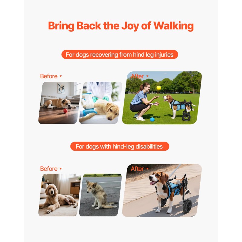 Koiran takajalkojen pyörätuoli kevyt alumiinirunko säädettävä ja iskunvaimentavilla pyörillä pienille koirille