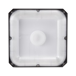 LED katosvalot 4 kpl 80W 8800 lm 5000K IP65 painevalettu alumiini