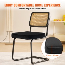 Rottinkituolisetti 2 kpl samettiverhoiltu istuin rottinkiselkänojalla metallinen kantileverrunko