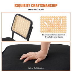 Ruokapöydän tuolit rottinkiselkänojaiset samettipäällysteiset metallirungoilla 4 kpl