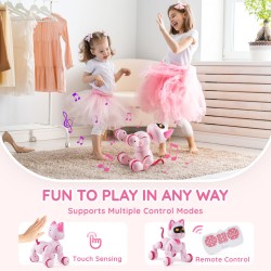 Kauko-ohjattava ohjelmoitava robottikissa kosketusohjauksella LED-valoilla USB-C-lataus 3+-vuotiaille