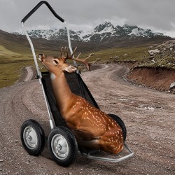 Taittuva metsästyskärry alumiiniseos ja sinkitty teräsrunko 227 kg kantavuus nelirenkaat