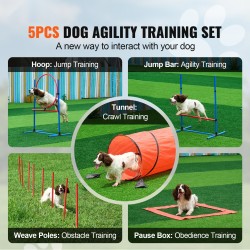 Koiran agilitysetti 5-osainen PVC-muovi vahvistetulla rakenteella säädettävät hypyt kuusi pujottelukeppiä tunneli hyppykehä