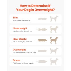 Sähköinen koirien juoksumatto hiiliteräsrunko Oxford-kangas juoksupinnalla kolmella kallistustasolla keskikokoisille koirille