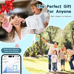 Ulkokäyttöön älylintulauta 2L ruokasäiliöllä 2K-kameralla älytunnistuksella aurinkopaneeleilla täysvärinen pimeänäkö