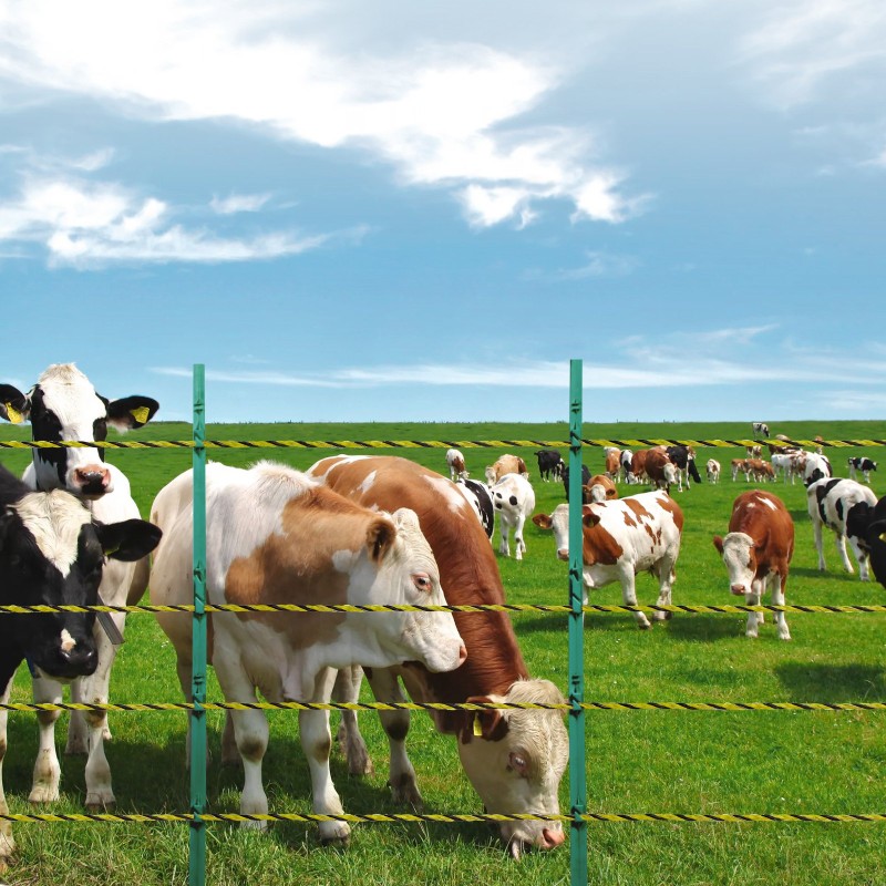 Sähköaitalanka 1026 m 1/8 tuuman 6 ruostumatonta säiettä muovikelalla