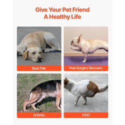 Koiran ortopedinen selkätuki koko M neopreenistä säädettävillä heijastavilla reunuksilla selkärangan tukemiseen