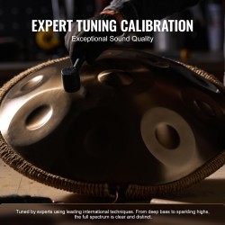 Handpan-rumpu hiiliteräs 55,9 cm 12 säveltä D-molli kultainen