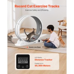 Kissan juoksupyörä ABS ja MDF 1038 mm ulkohalkaisija sisäkissoille askelmittarilla