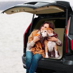 Sähköinen takaluukun tukijousipari 525N sopii Escalade Suburban Tahoe Yukon 2015–2020