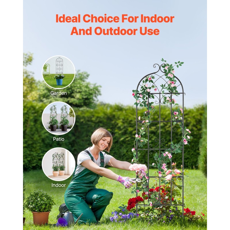 Metallinen teräsköynnöstuki 51 x 180 cm 2 kpl musta köynnöskasveille