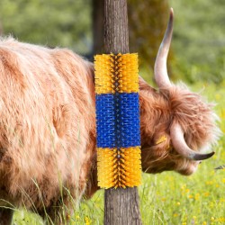 Karjaharja muovirunko PBT-harjakset 43,5 cm 6 kpl karjanhoitoon