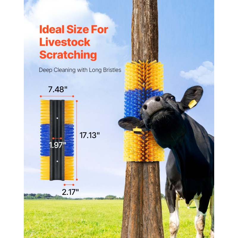 Karjan kutinaharja muovirunkoinen tiheillä joustavilla harjaksilla 43,5 cm 2 kpl