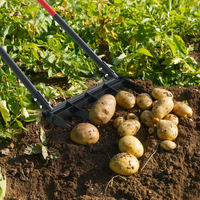 Puutarhatalikko leveä viisihaarainen mangaaniteräksinen talikonpää lasikuituvarsi ergonominen kahva