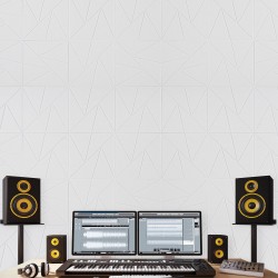 Akustiikkapaneelit polyesterikuituiset 300x300x10 mm 18 kpl itseliimautuvat valkoinen