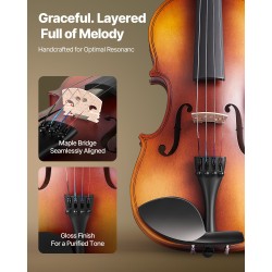 Viulu lehmus ja vaahtera 3/4 340 mm aloitussetti aloittelijoille
